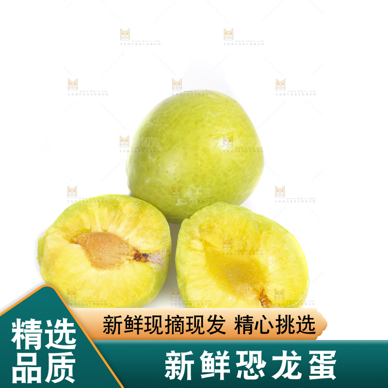 白底上放着新鲜恐龙蛋