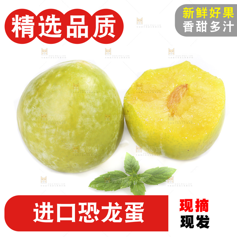 白底上放着新鲜恐龙蛋