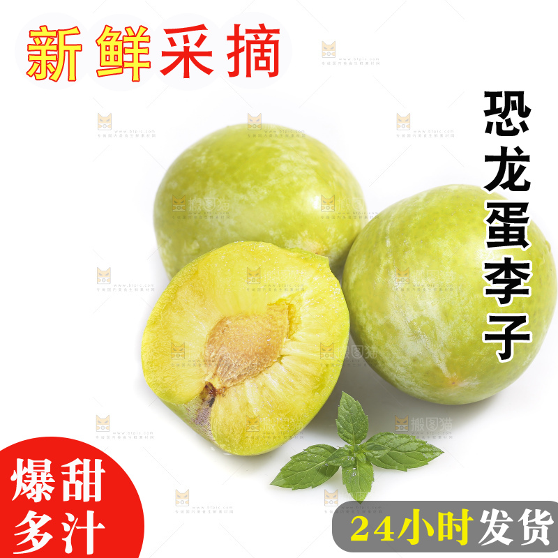 白底上放着新鲜恐龙蛋