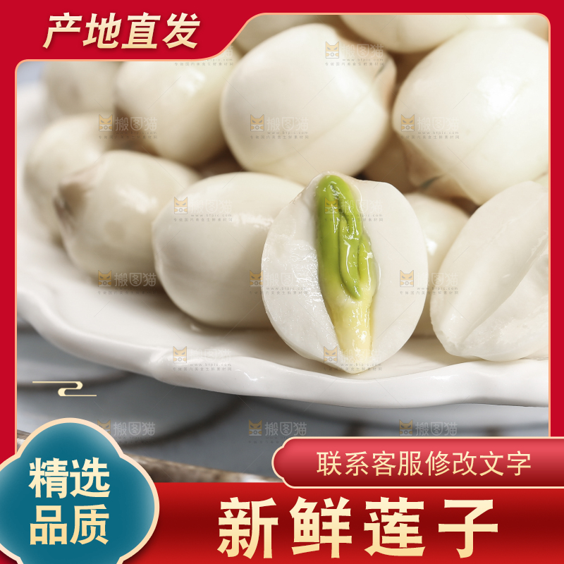 浅底上的莲子