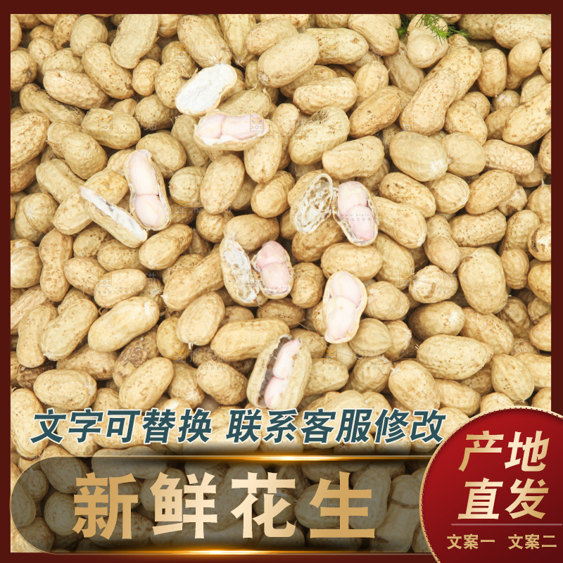 花生地里的新鲜花生