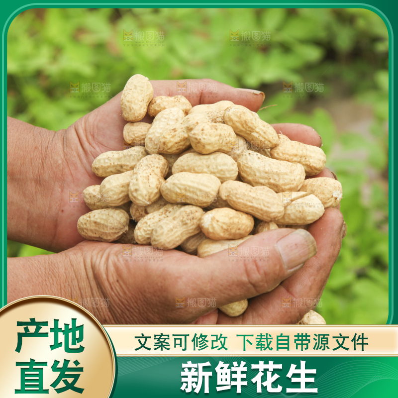 手里拿着现挖花生