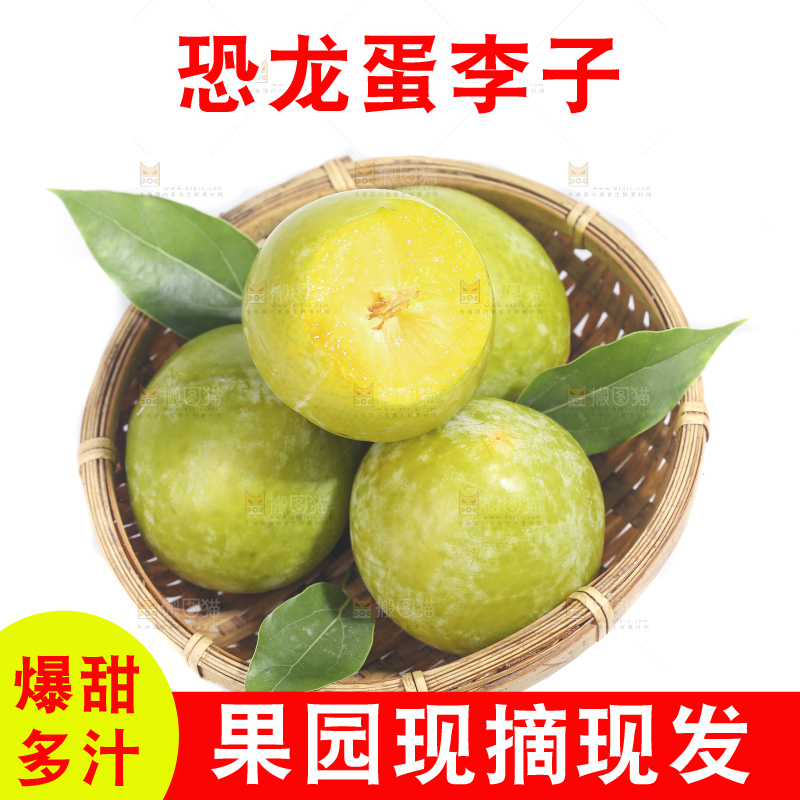白底上放着新鲜恐龙蛋