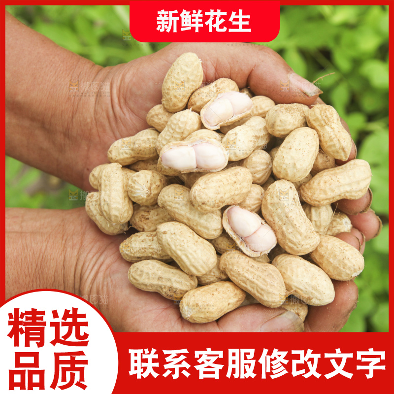 手里拿着现挖花生