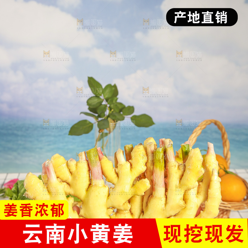浅底上的小黄姜