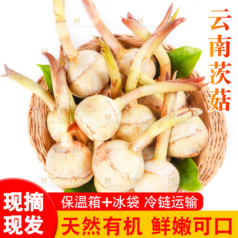 竹篮里装着云南茨菇