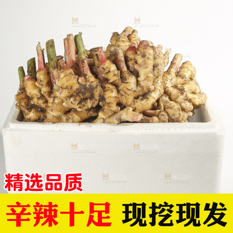 浅底上的的一箱小黄姜