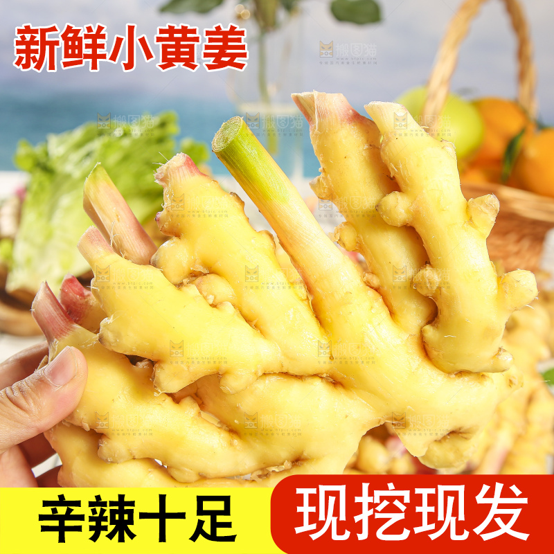 浅底上的小黄姜