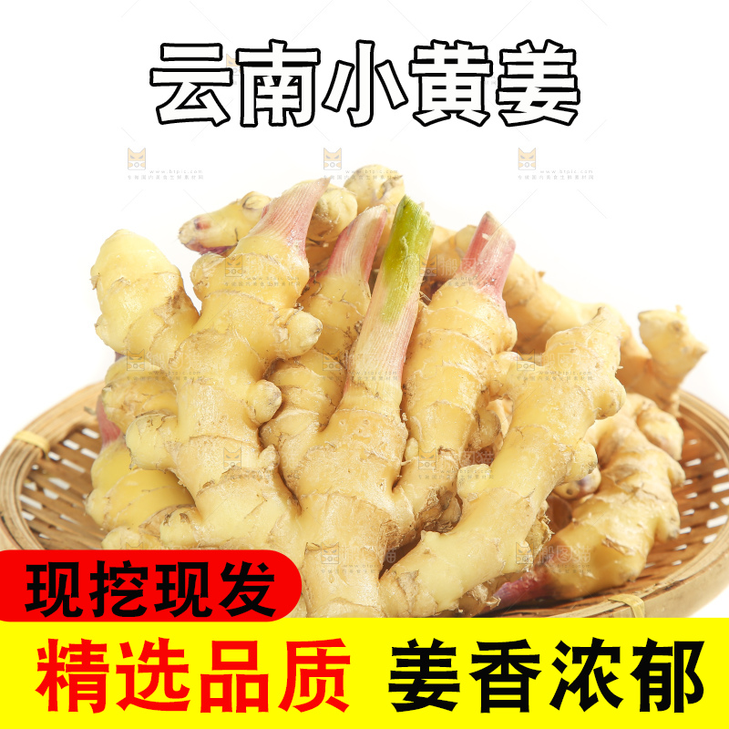 白底上的小黄姜