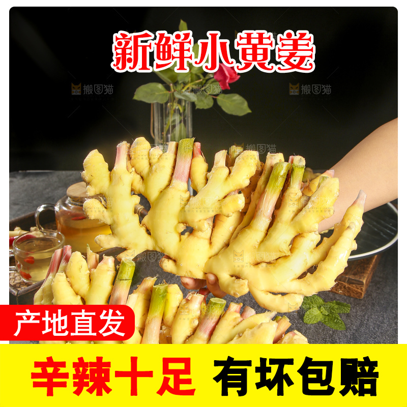 深底上的小黄姜