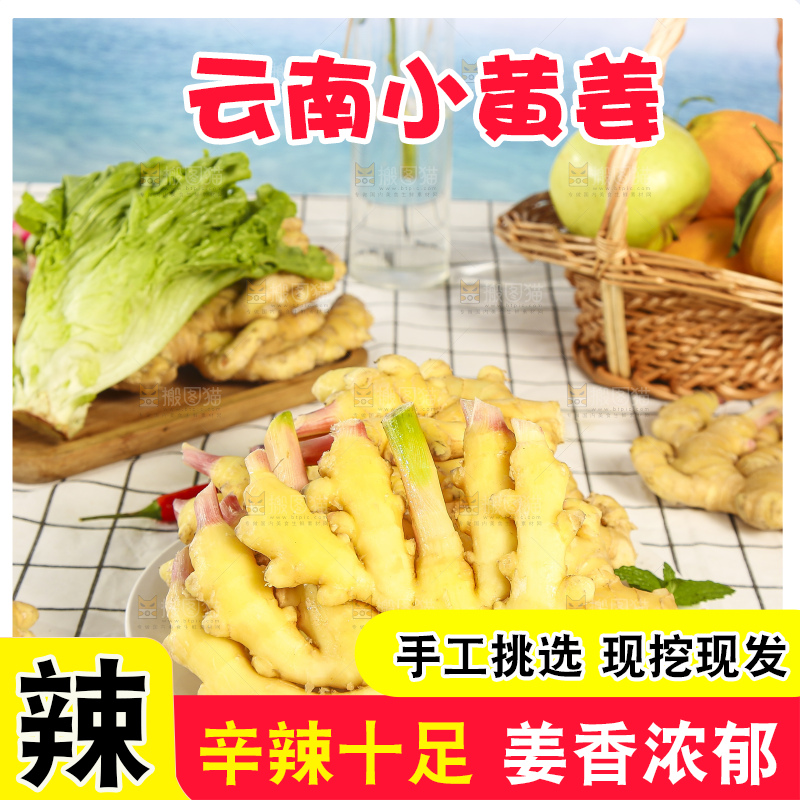 浅底上的小黄姜