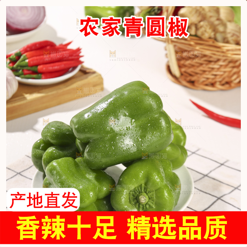 浅底上的青圆椒