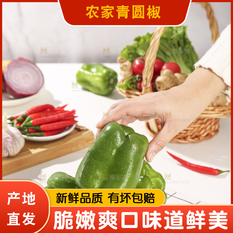 浅底上的青圆椒