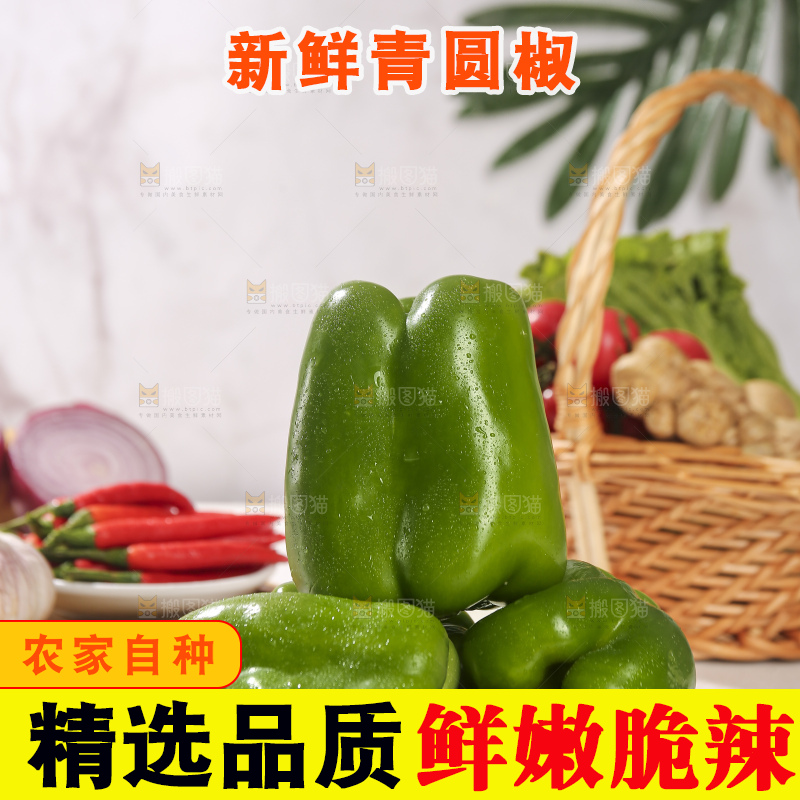 浅底上的青圆椒