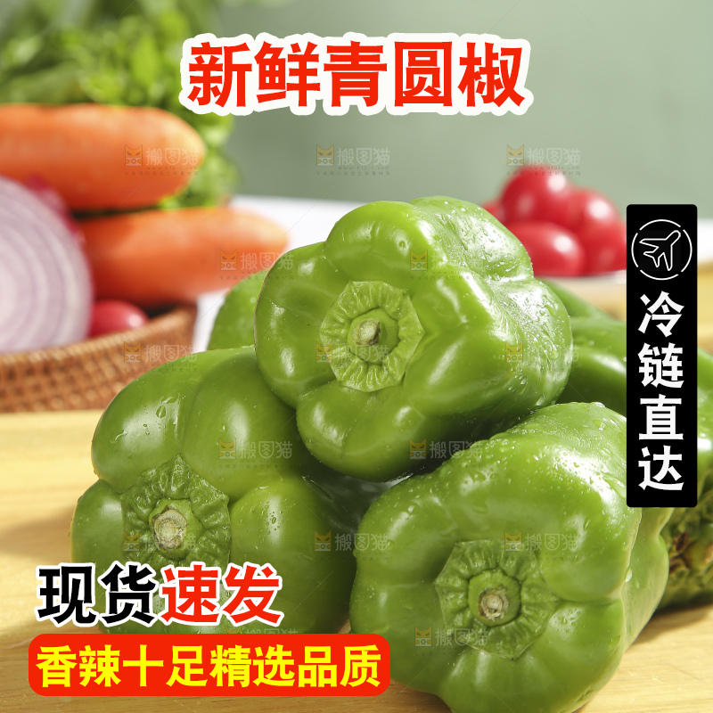 浅底上的青圆椒
