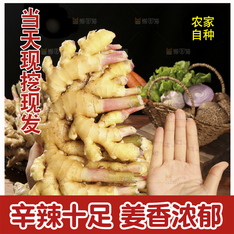 木底上的新鲜小黄姜