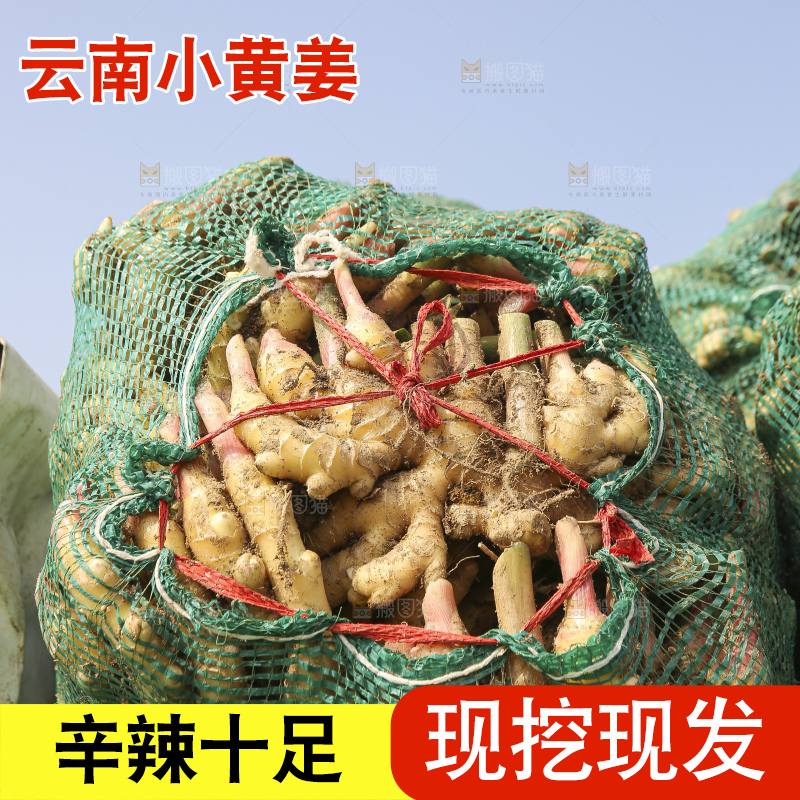堆放着的小黄姜