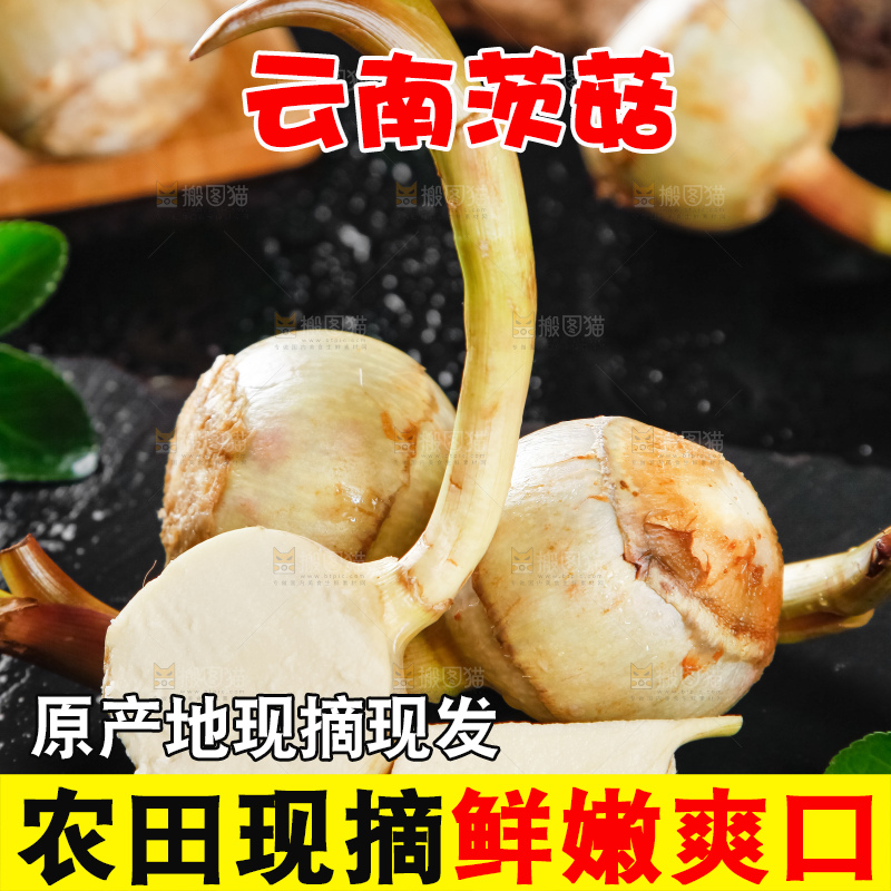 黑垫上放着切开的白茨菇