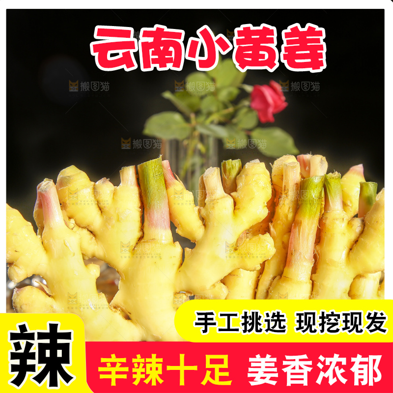 深底上的小黄姜