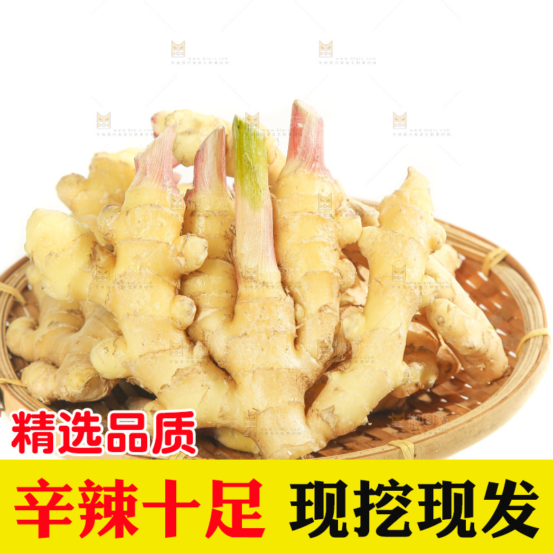 白底上的小黄姜