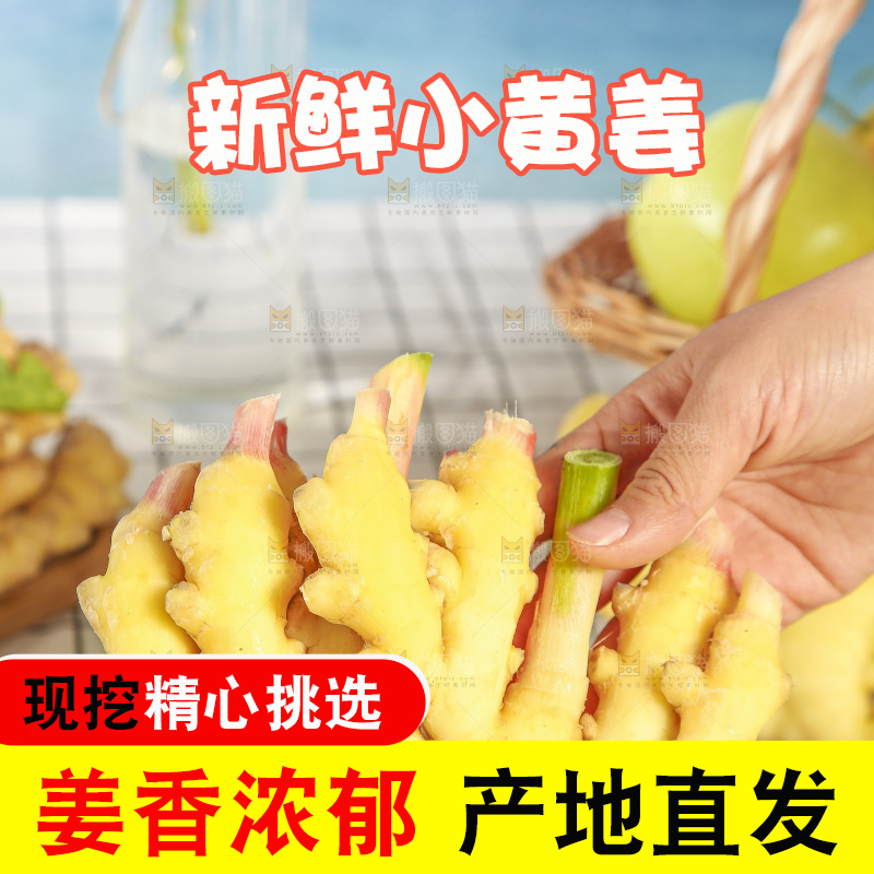 浅底上的小黄姜
