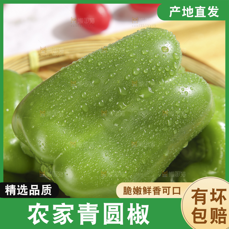 浅底上的青圆椒