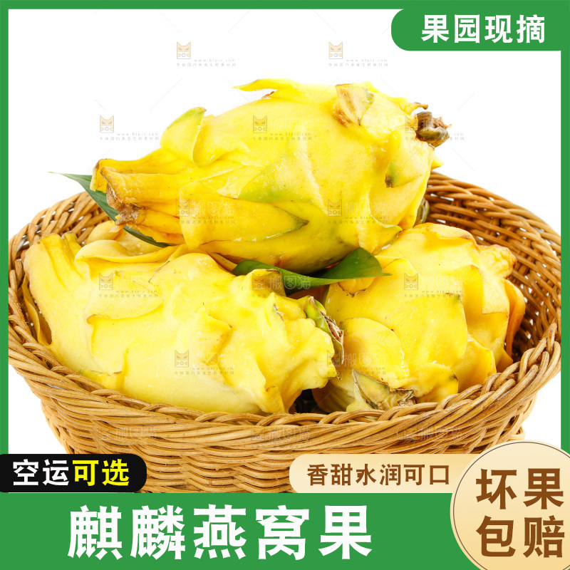 白底上的燕窝果