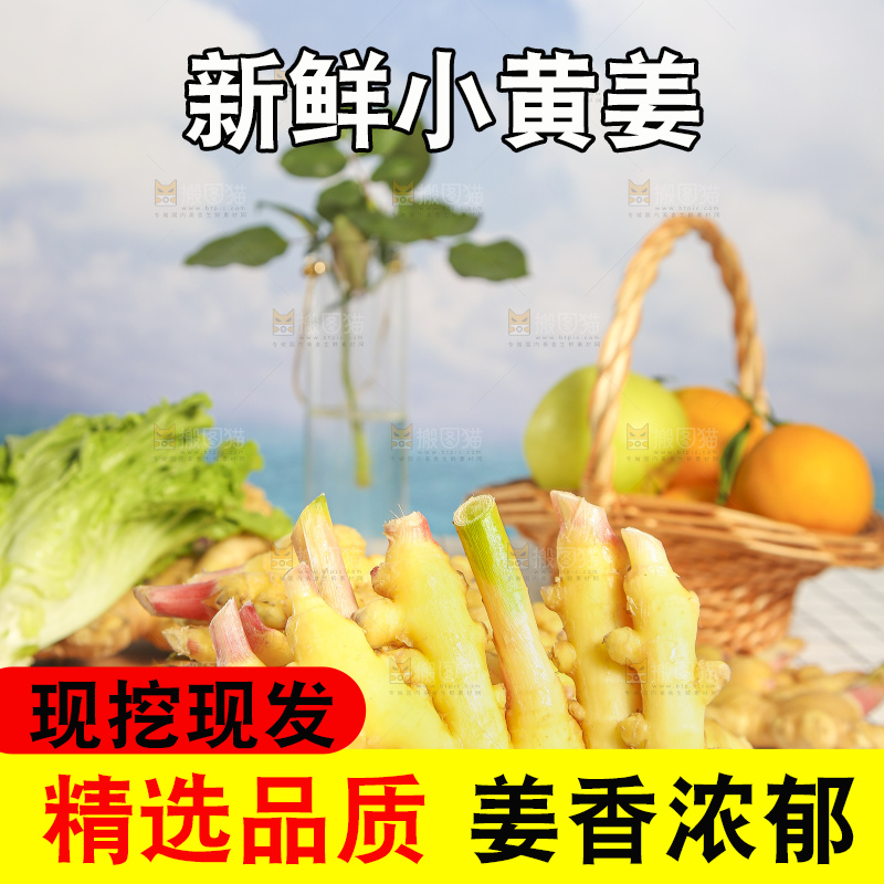 浅底上的小黄姜