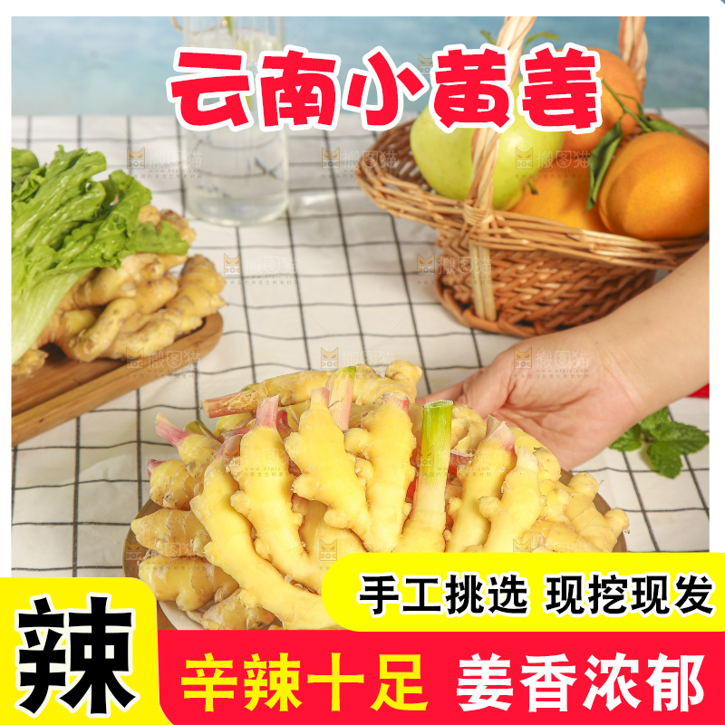 浅底上的小黄姜