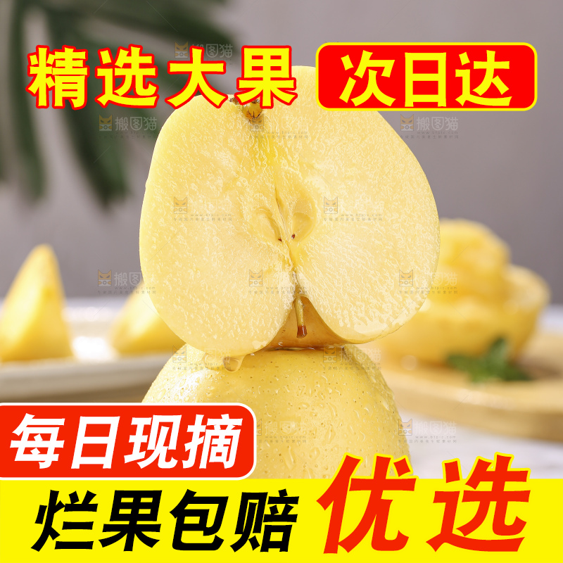 浅底上的维纳斯苹果