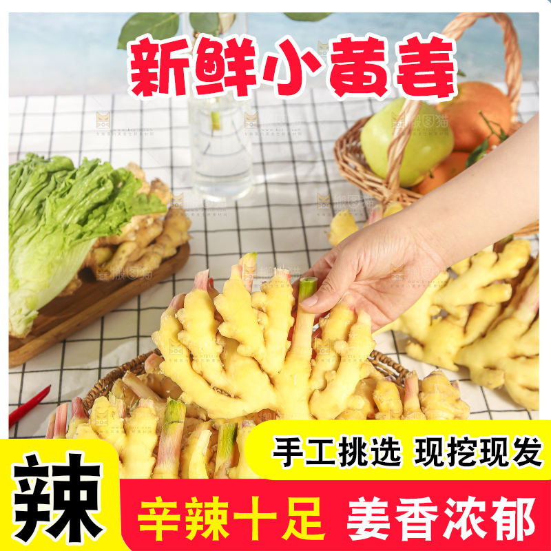 浅底上的小黄姜