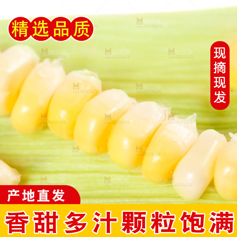 玉米叶上放着玉米粒