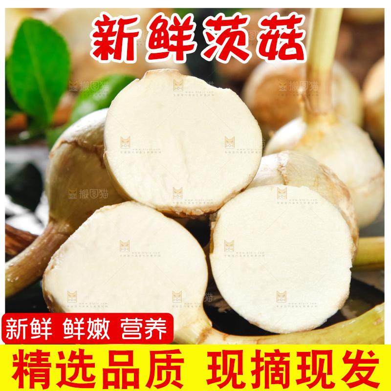 黑石垫上放着切开的白茨菇
