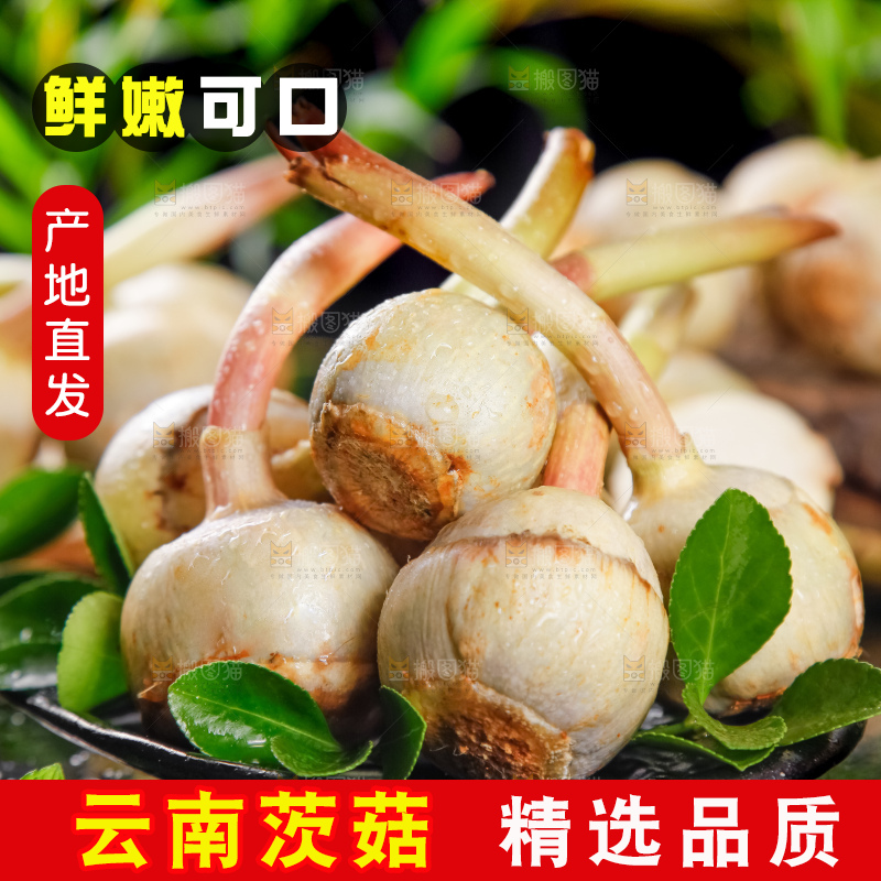 盘子里放着白茨菇