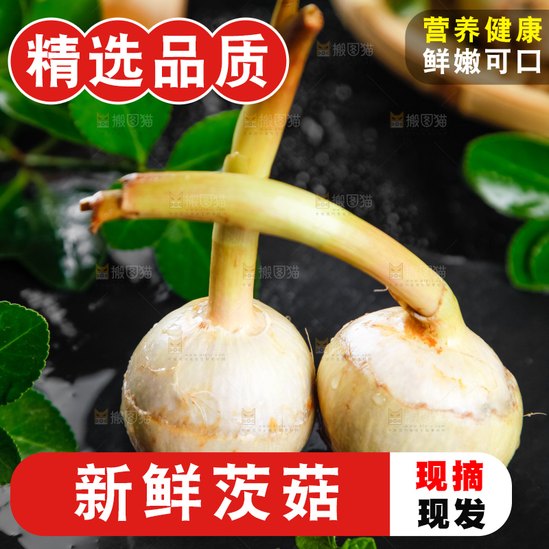 黑石板上放着白茨菇