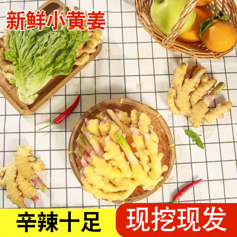 浅底上的小黄姜