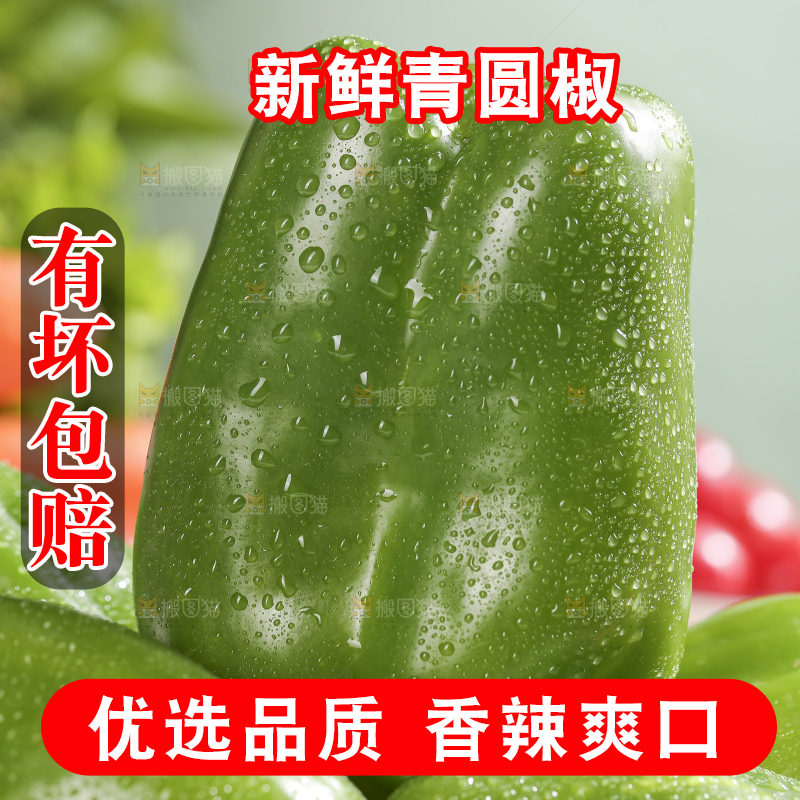 浅底上的青圆椒