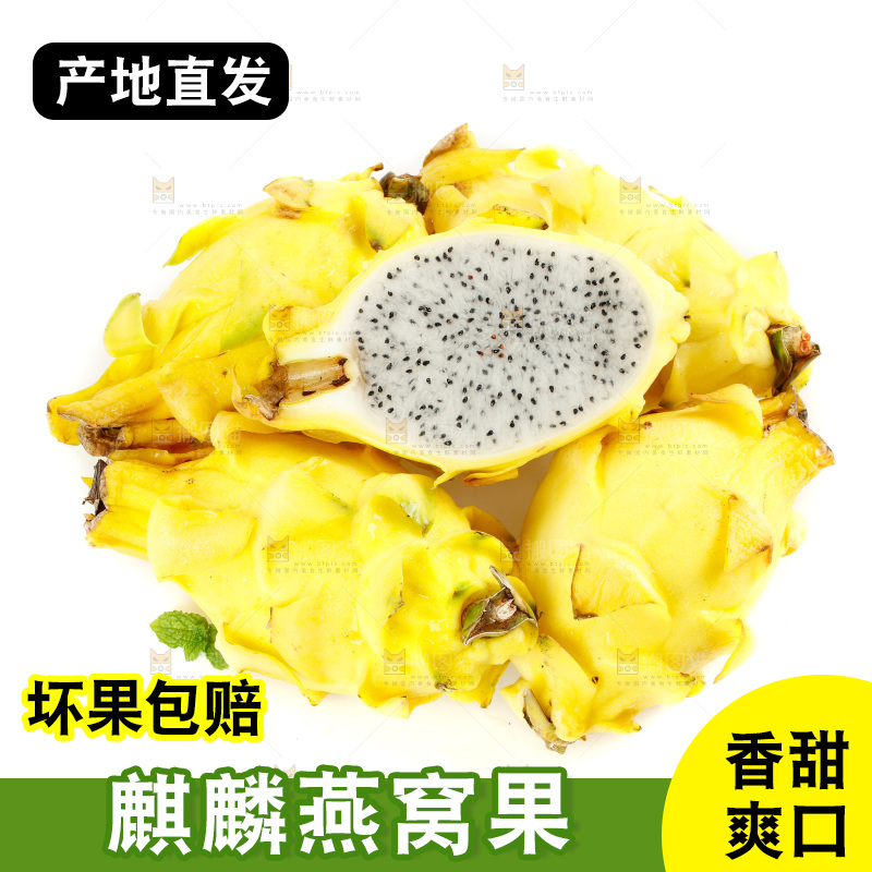 白底上的燕窝果