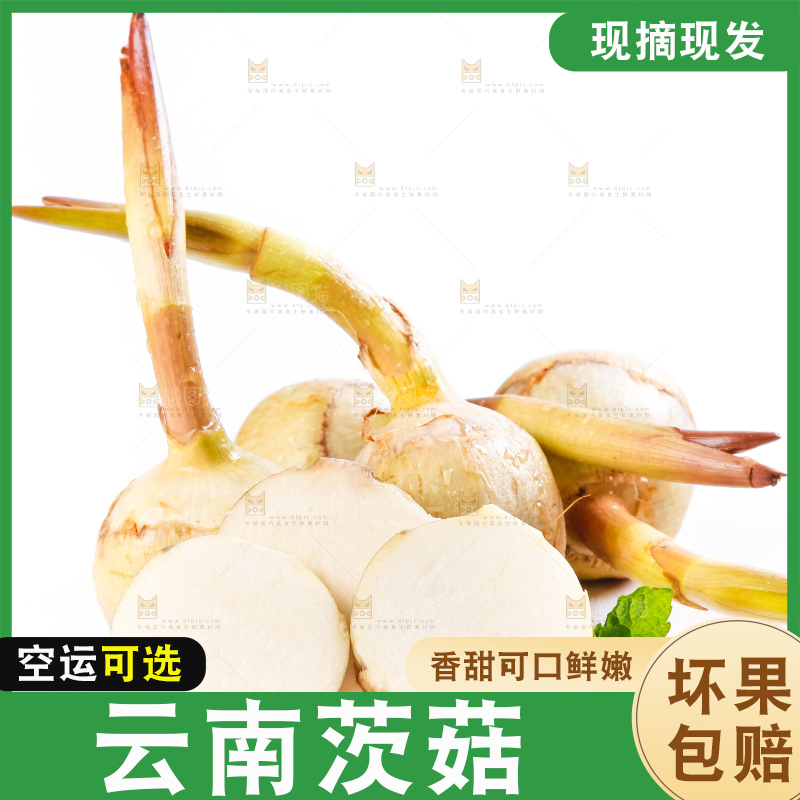 白底上放着切开的云南茨菇