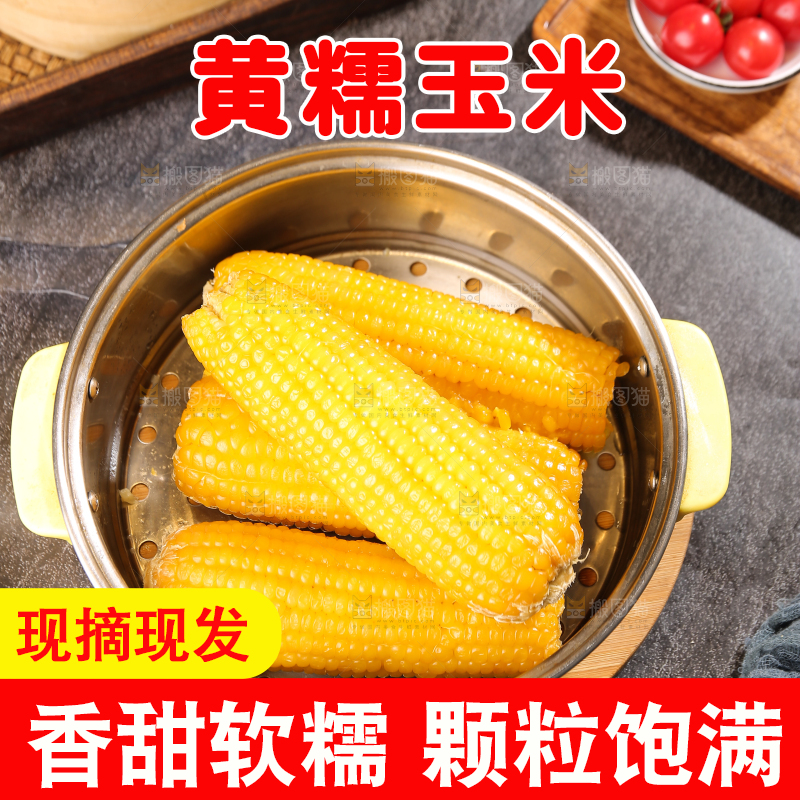深底上的黄糯玉米