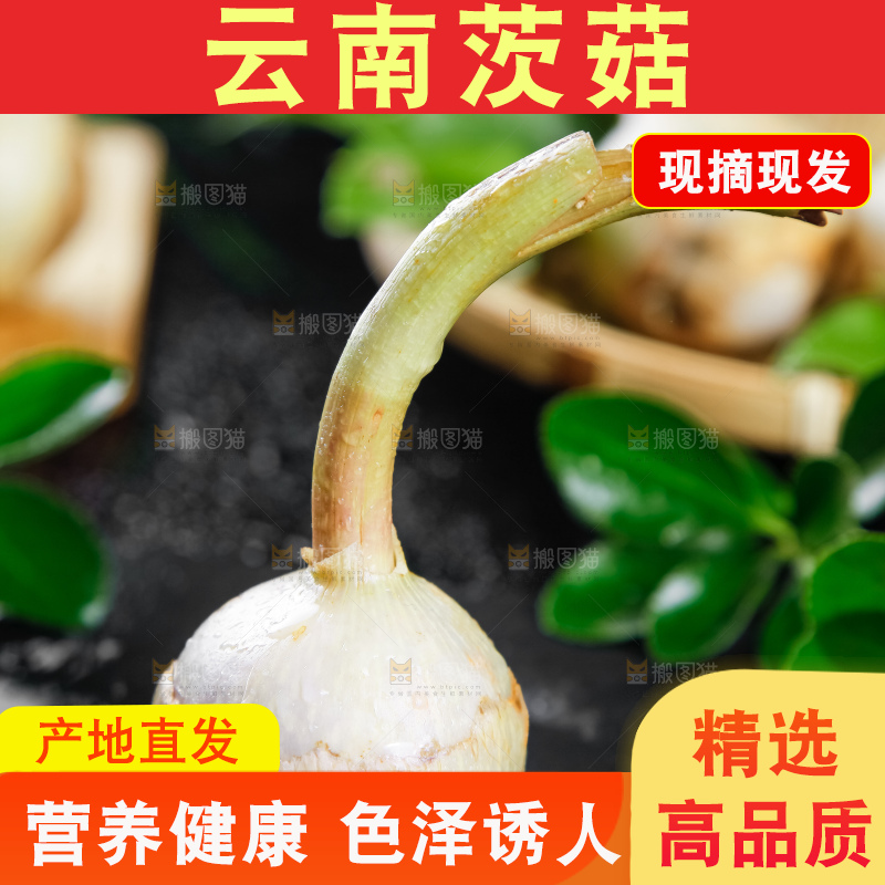 黑石板上放着白茨菇