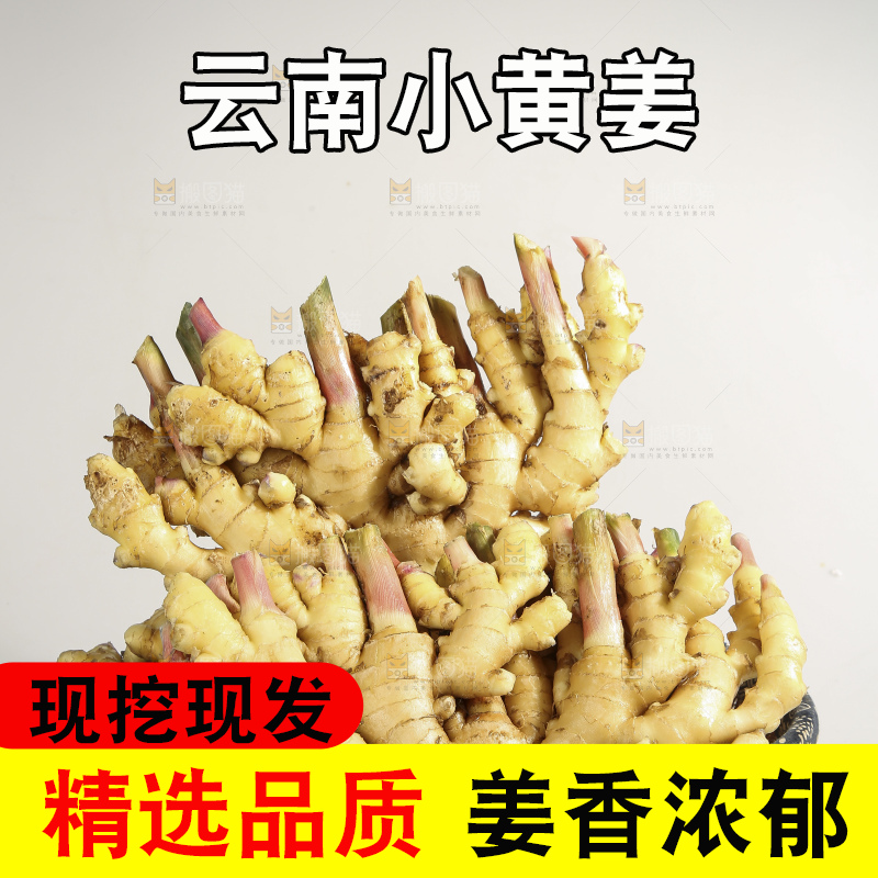 浅底上的云南小黄姜