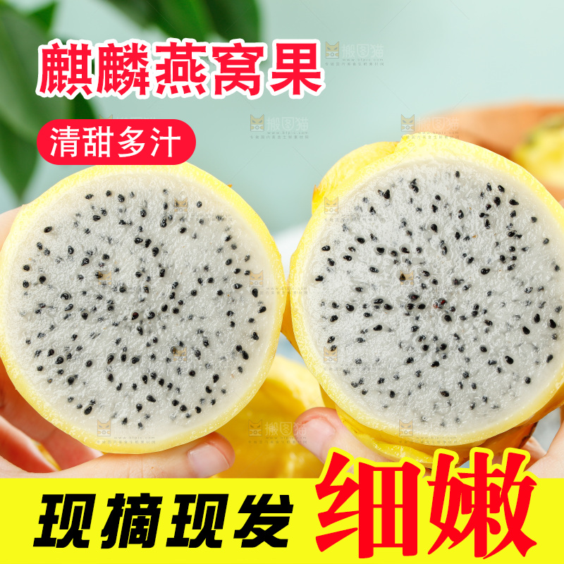 浅底上的黄皮火龙果