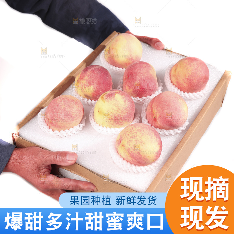 白底上的金秋红蜜桃