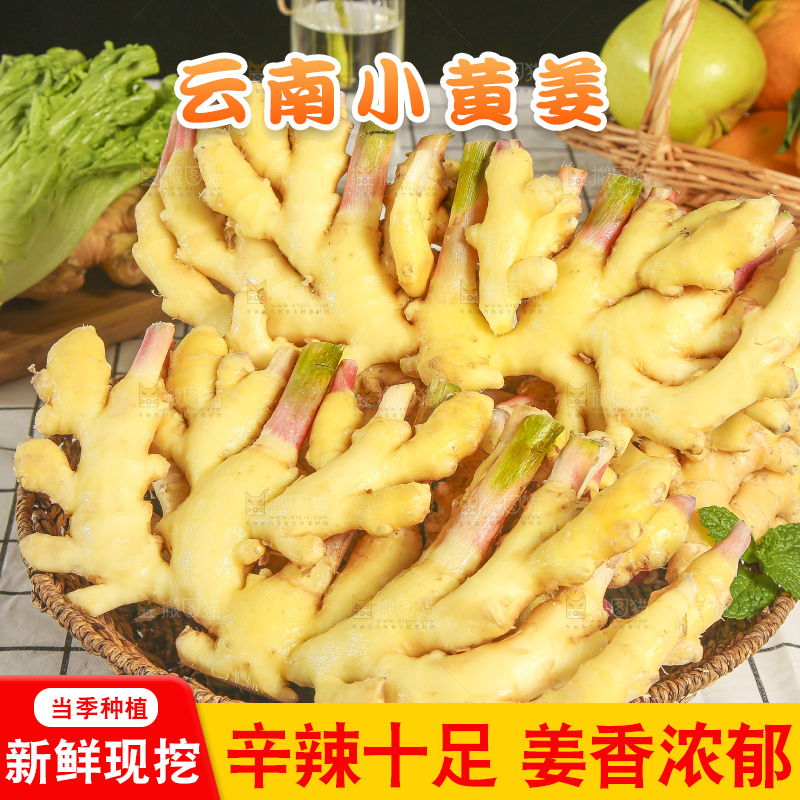 浅底上的小黄姜