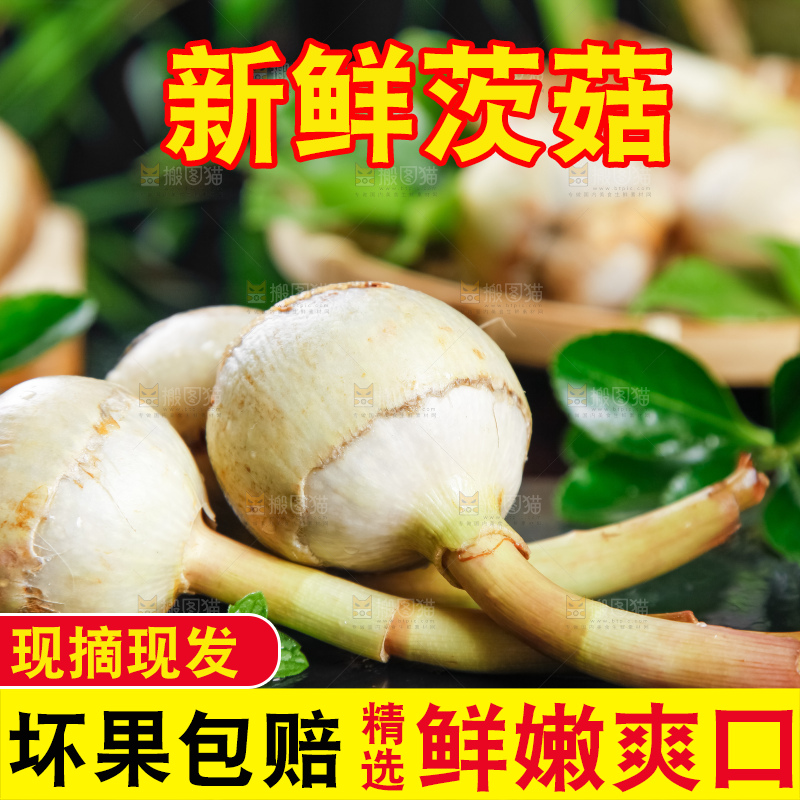 黑石板上放着白茨菇