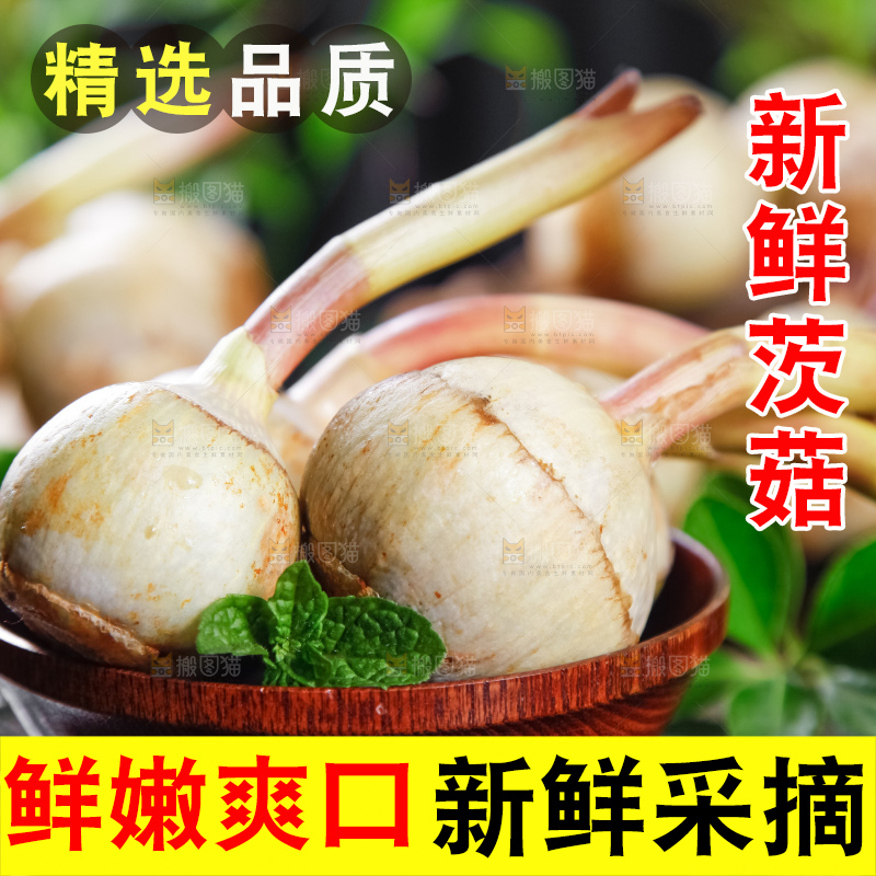 碟子里放着白茨菇