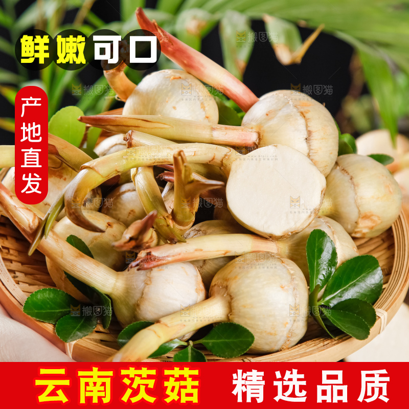 竹篮里放着切开的白茨菇