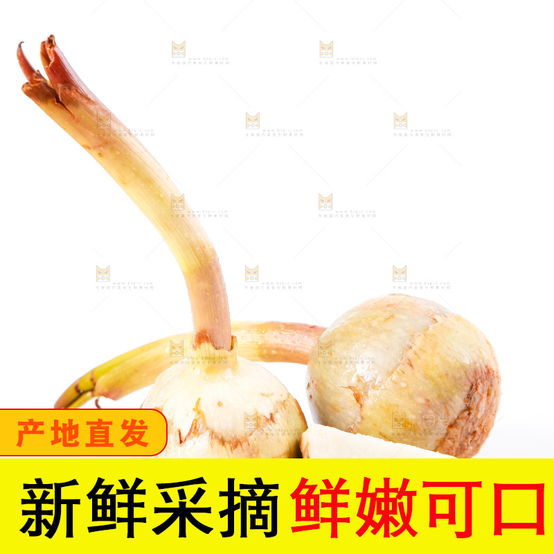 白底上放着切开的云南茨菇