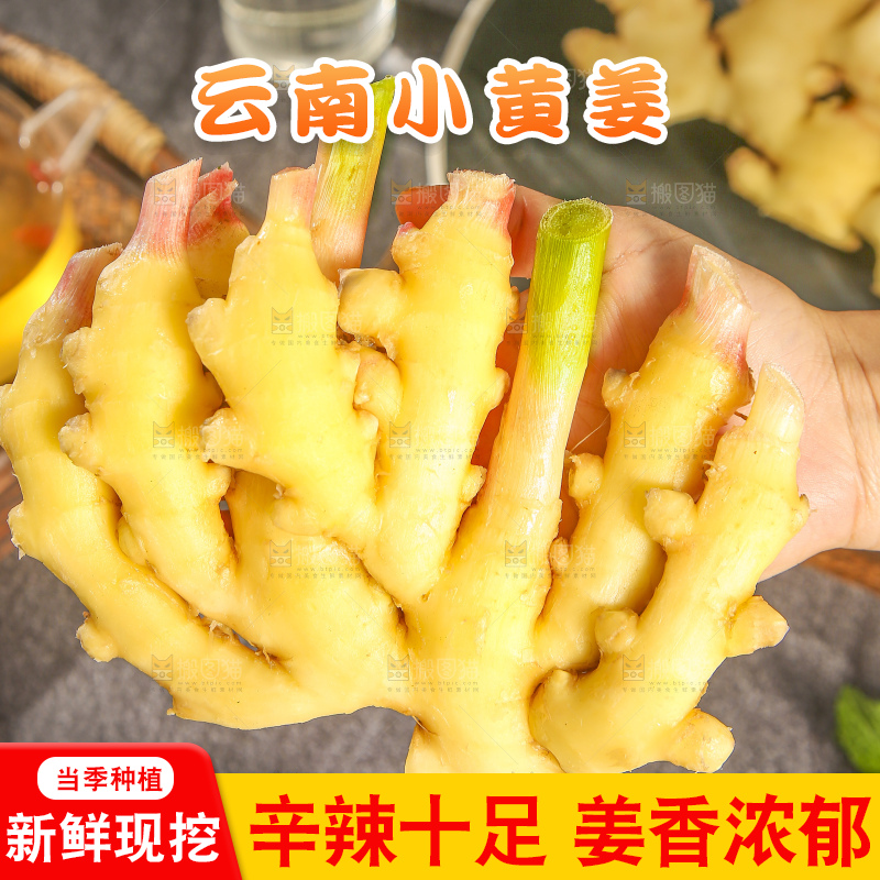 深底上的小黄姜
